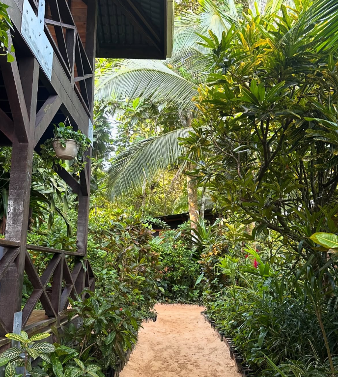 Bocas del Toro, Panama: Where Nature Heals and the Wifi Sometimes Hates You